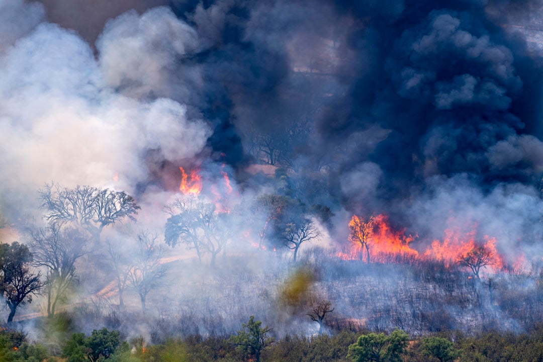 Continúan sin control los incendios en Mijas, Cáceres, Castilla y León y Galicia Continúan sin control los incendios en Mijas, Cáceres, Castilla y León y Galicia