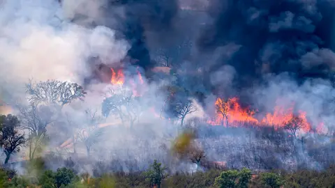 Incendio activo en el Parque Nacional de Monfragüe, en el municipio de Deleitosa (Cáceres),