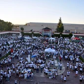 El concurso de limoná se celebrará en el exterior del Auditorio de la Granja El concurso de limoná se celebrará en el exterior del Auditorio de la Granja