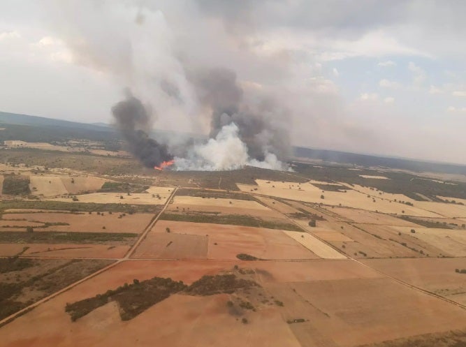 Fallece un brigadista en el incendio forestal de Losacio en Zamora Fallece un brigadista en el incendio forestal de Losacio en Zamora
