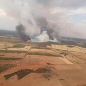 Fallece un brigadista en el incendio forestal de Losacio en Zamora