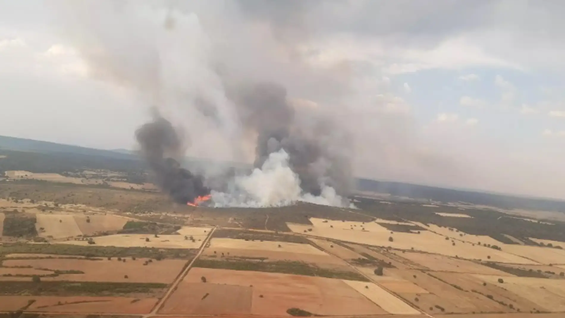 Fallece un brigadista en el incendio forestal de Losacio en Zamora