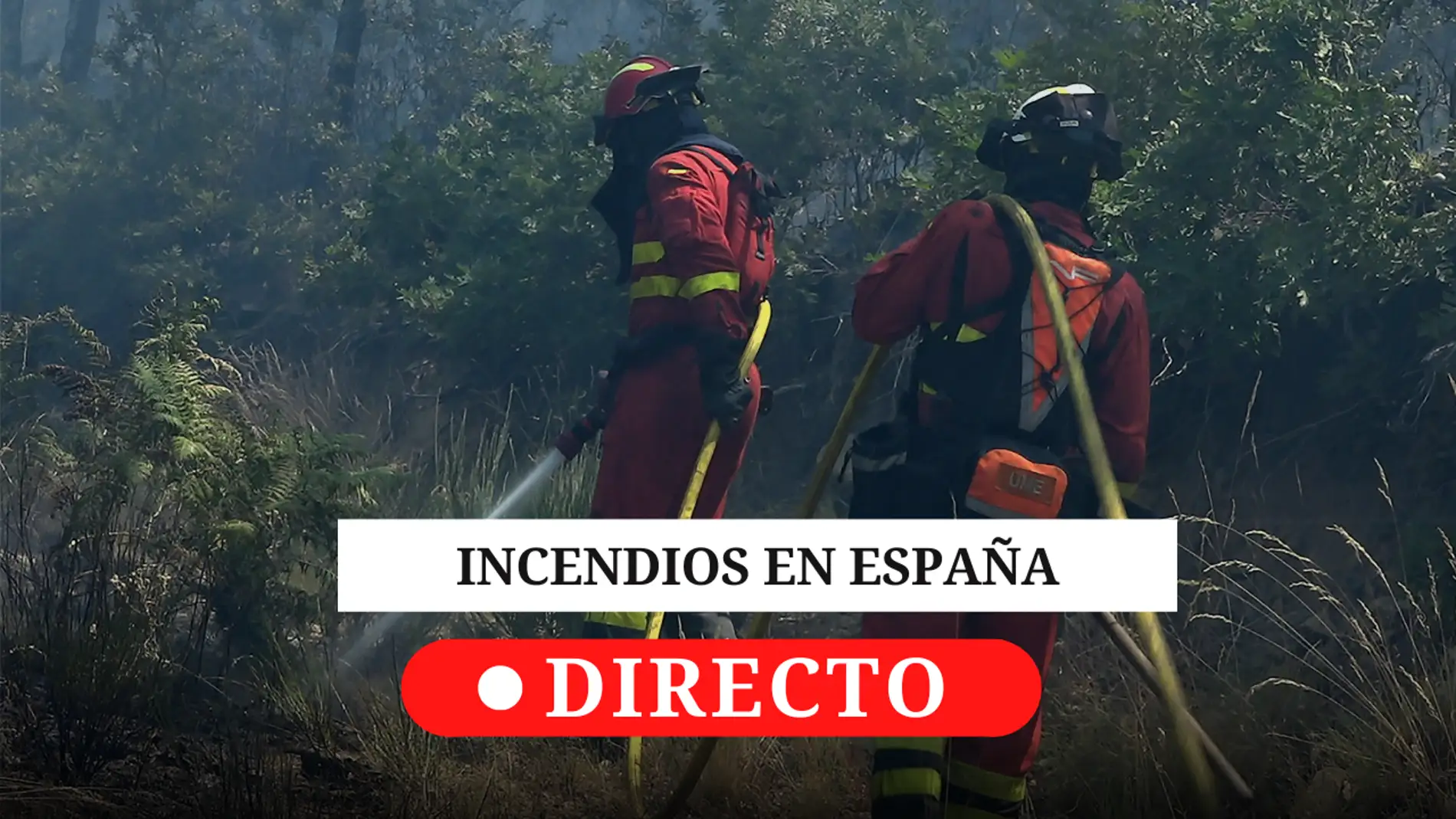 Incendios en España: sigue las últimas noticias de los más de 30 fuegos activos Incendios en España: sigue las últimas noticias de los más de 30 fuegos activos