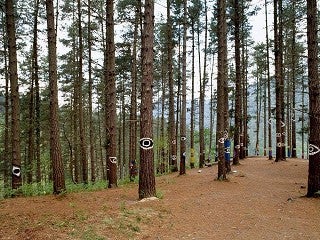 El nuevo Bosque de Oma se podrá visitar desde el próximo 25 de julio El nuevo Bosque de Oma se podrá visitar desde el próximo 25 de julio