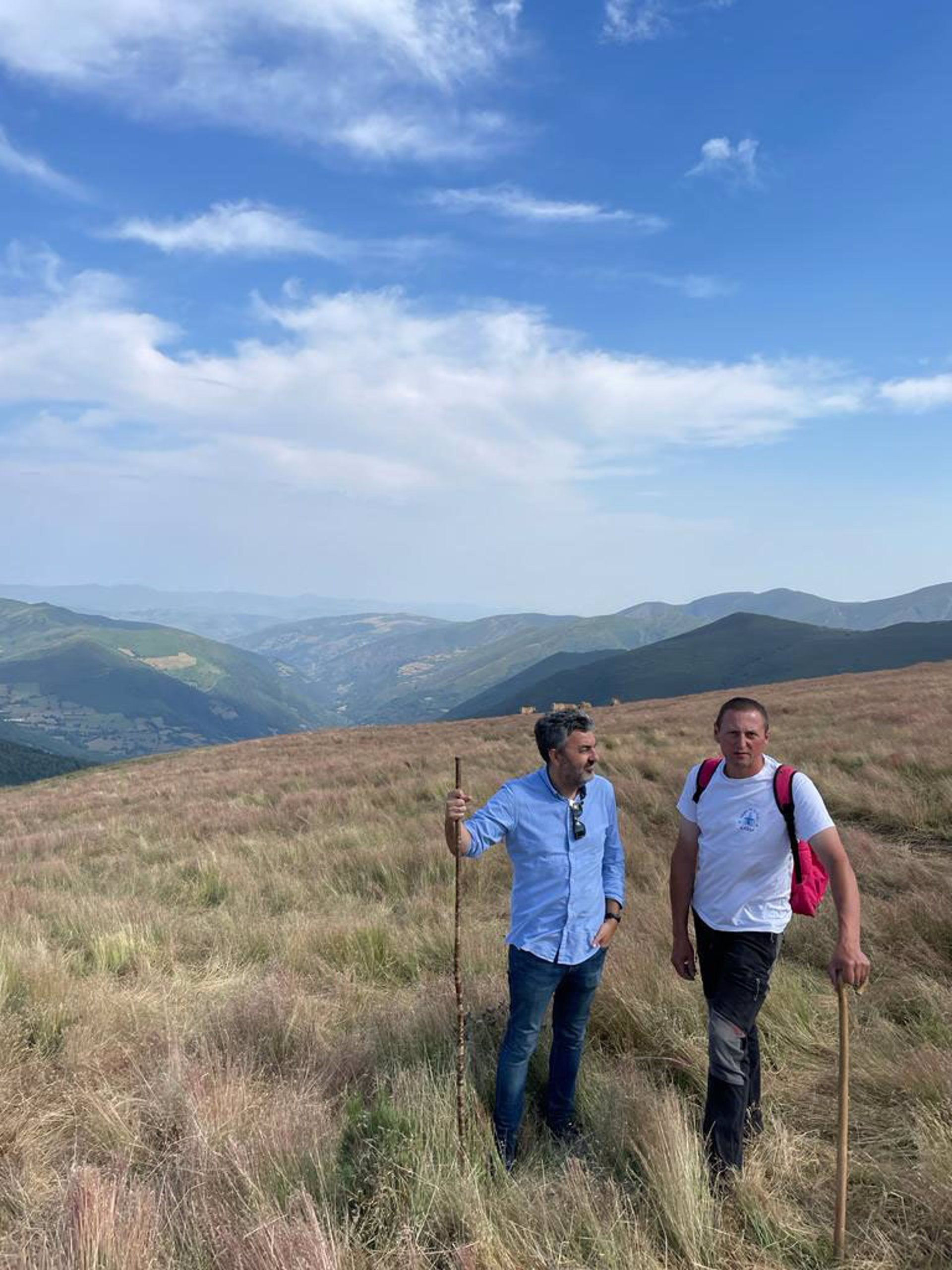 Desbroces y regeneración de pastos para combatir incendios Desbroces y regeneración de pastos para combatir incendios