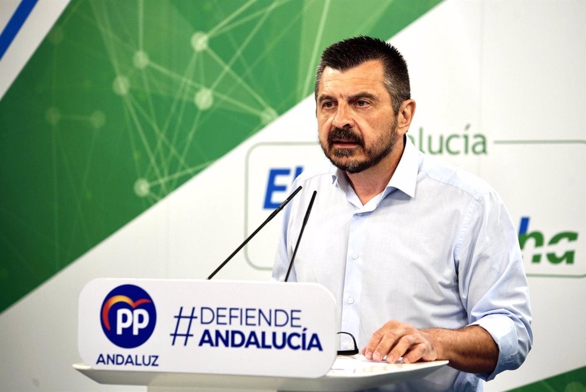 PP-A defiende la estabilidad que genera Moreno, frente a la inestabilidad de Sánchez, ya con dimisiones en PSOE PP-A defiende la estabilidad que genera Moreno, frente a la inestabilidad de Sánchez, ya con dimisiones en PSOE