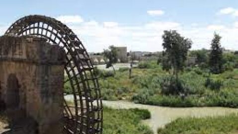 Sotos de la Albolafia en el r&iacute;o Guadalquivir