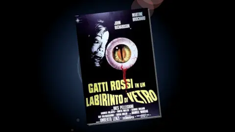 Gatti rossi in un labirinto di vetro Gatti rossi in un labirinto di vetro