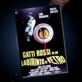 Gatti rossi in un labirinto di vetro