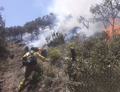 Termina la recuperación de las 2.000 hectáreas quemadas en el incendio de Mijas de 2022 Termina la recuperación de las 2.000 hectáreas quemadas en el incendio de Mijas de 2022