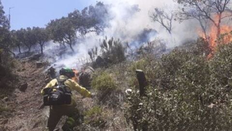 Bomberos del Infoca trabajan en la extinci&oacute;n del incendio forestal declarado el viernes 15 de julio en la Sierra de Mijas