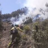 Bomberos del Infoca trabajan en la extinción del incendio forestal declarado el viernes 15 de julio en la Sierra de Mijas