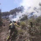Bomberos del Infoca trabajan en la extinción del incendio forestal Bomberos del Infoca trabajan en la extinción del incendio forestal