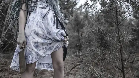 Imagen de archivo de una mujer con un hacha de cocina en la mano Imagen de archivo de una mujer con un hacha de cocina en la mano/ Pixabay