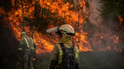 Bomberos forestales realizan labores de extinción en un incendio.