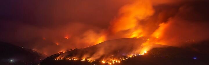 ¿Cree que la política ecológica debería contemplar también una mayor limpieza de los montes para evitar los incendios?