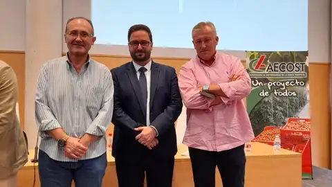 FERNANDO MORENO FERNANDO MORENO