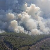 Las llamas han afectado a masa forestal y cultivos de cereal