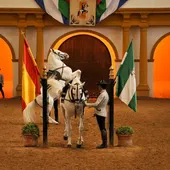 Fundación Real Escuela Andaluza del Arte Ecuestre Fundación Real Escuela Andaluza del Arte Ecuestre