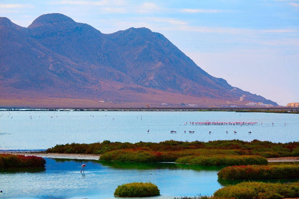 Entrevistamos a Ramón Fernández Pacheco: " si todo va bien, Las Salinas de Cabo de Gata estarán listas para octubre" Entrevistamos a Ramón Fernández Pacheco: " si todo va bien, Las Salinas de Cabo de Gata estarán listas para octubre"