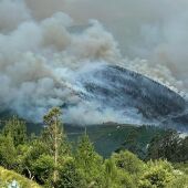 El fuego reavivado quemo las 40 ha de monte repoblado en Busmente,  Villayón.