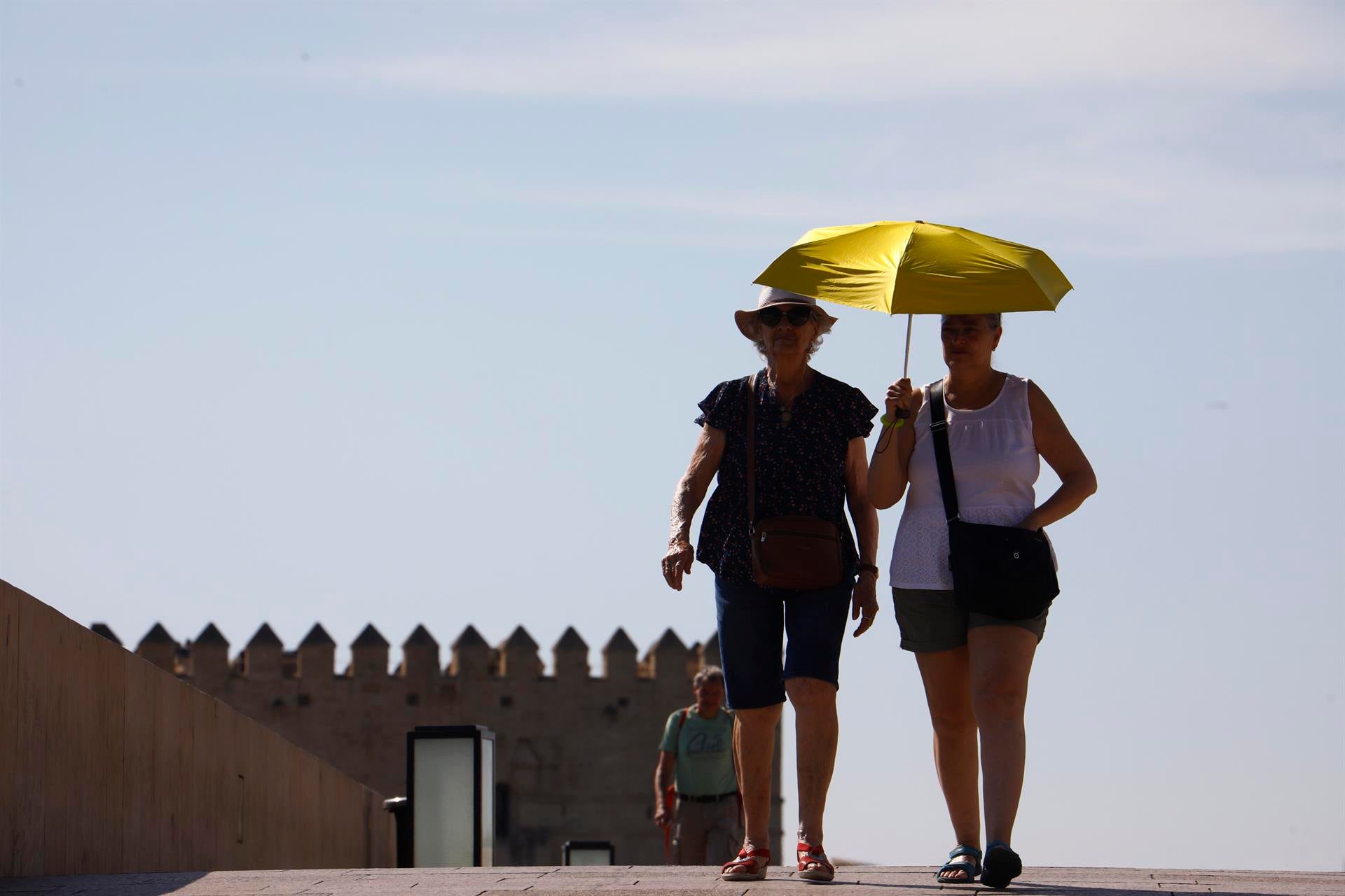 ¿Realmente ya han muerto más de 600 personas por el calor? Así se miden las defunciones ¿Realmente ya han muerto más de 600 personas por el calor? Así se miden las defunciones