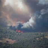 Los estragos del incendio de Ateca ya superan al de Luna en 2015