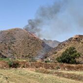Incendio en Mojácar: los efectivos ya mantienen la zona controlada