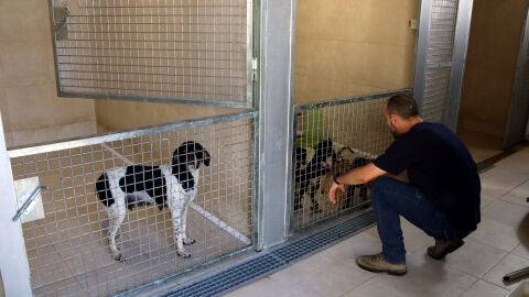 Refugi dels Peluts Lleida