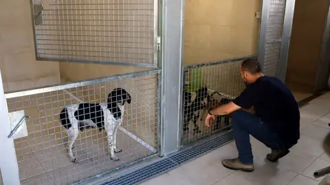 Refugi dels Peluts Lleida Refugi dels Peluts Lleida