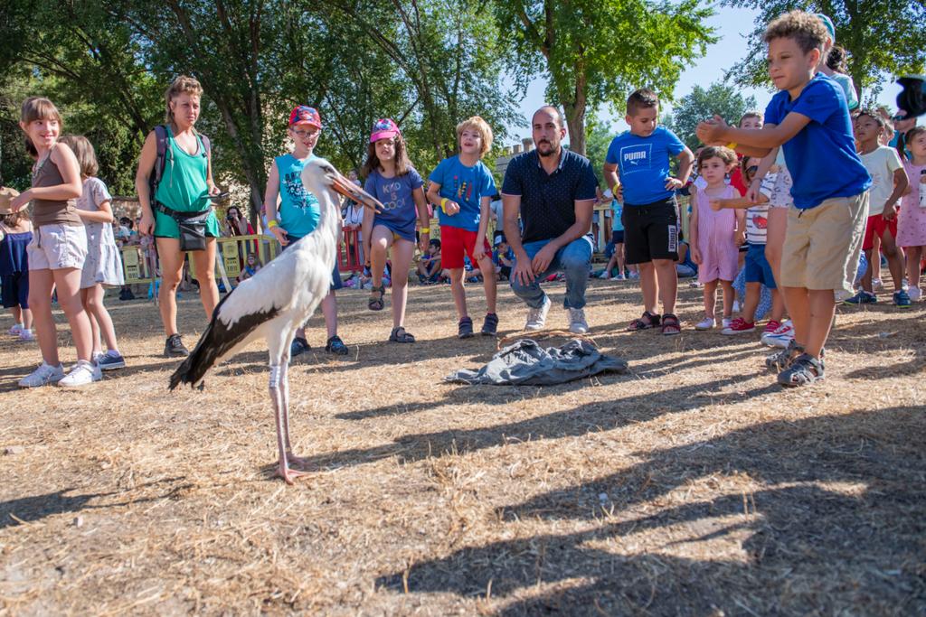 Más de uno Alcalá 20/07/2022 Más de uno Alcalá 20/07/2022