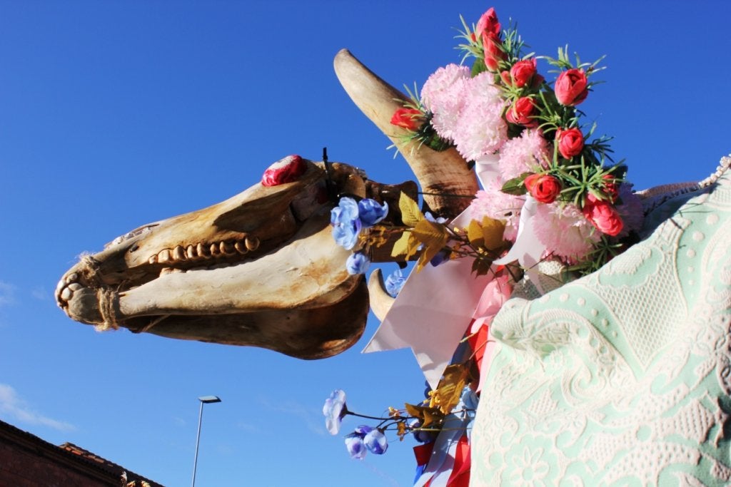 Más de Uno León 21/07/2022 Más de Uno León 21/07/2022