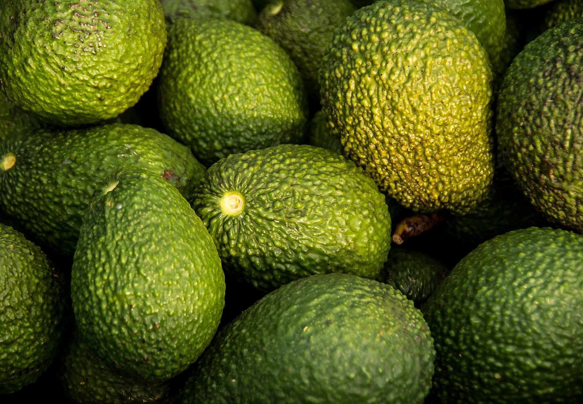 El aguacate… ¿es una fruta o una verdura? El aguacate… ¿es una fruta o una verdura?