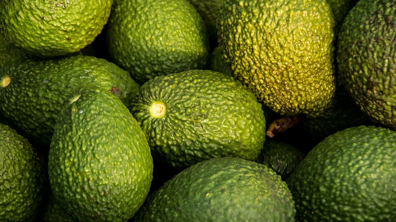 Aguacates