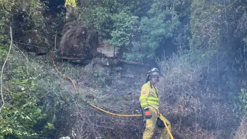Miembros del INFOCA trabajan en la extinción del incendio de la sierra Miembros del INFOCA trabajan en la extinción del incendio de la sierra