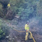 Miembros del INFOCA trabajan en la extinción del incendio de la sierra