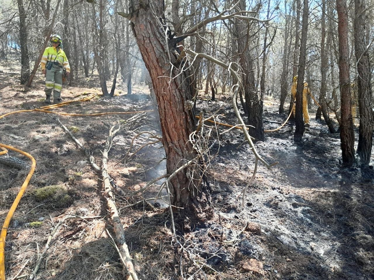 El incendio ha calcinado 14.000 hectáreas El incendio ha calcinado 14.000 hectáreas