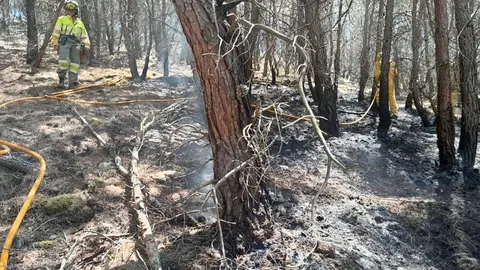 El incendio ha calcinado 14.000 hectáreas