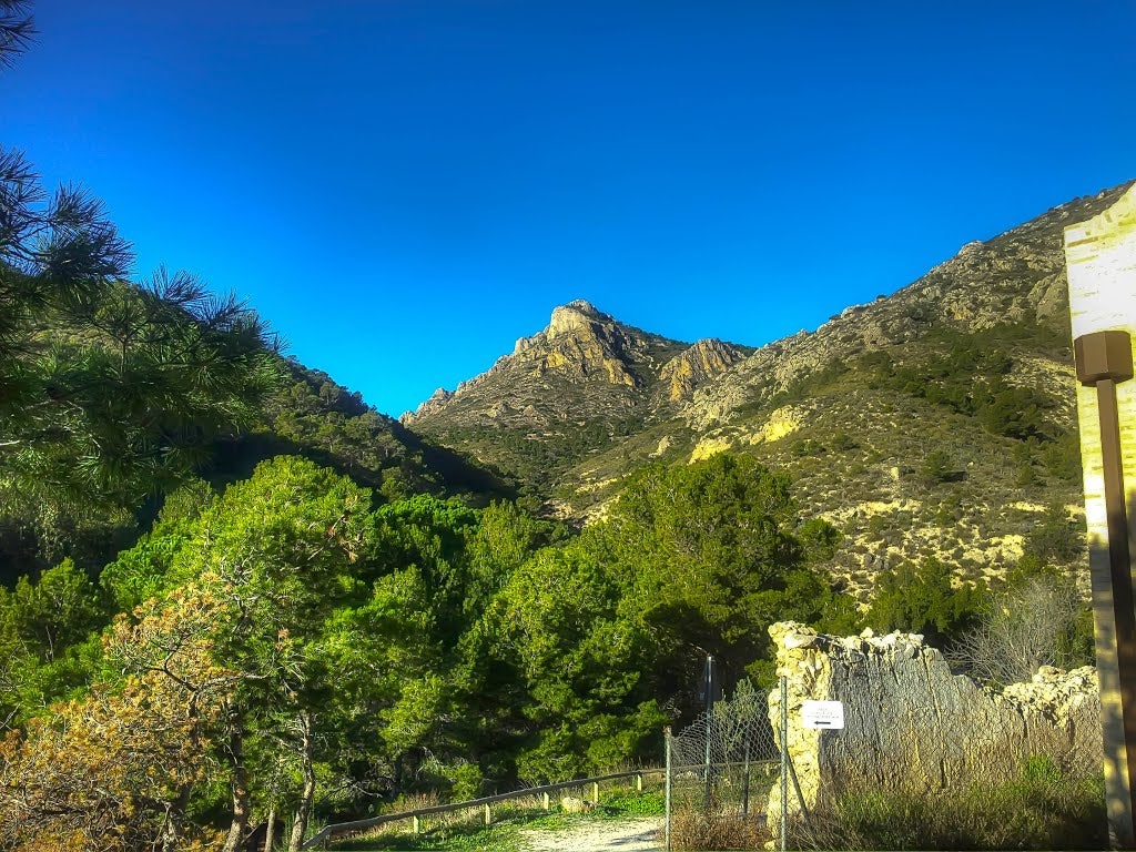 Crevillent: un oasis natural que combina la montaña con los humedales para un verano sin calor Crevillent: un oasis natural que combina la montaña con los humedales para un verano sin calor