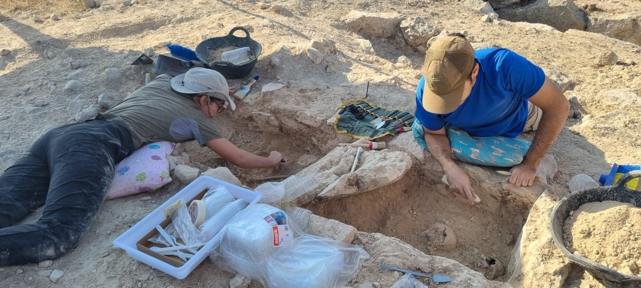 Los trabajos en Loma Eugenia evidencian un asentamiento visigodo desconocido hasta ahora en el sureste peninsular Los trabajos en Loma Eugenia evidencian un asentamiento visigodo desconocido hasta ahora en el sureste peninsular