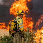 Castilla y León sospecha que los incendios en Zamora, Ávila y Burgos han sido intencionados