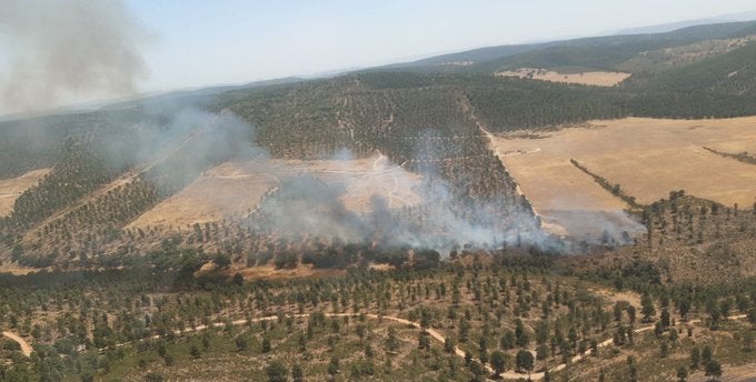 Controlado el incendio de Almadén que ha quemado 1.200 hectáreas Controlado el incendio de Almadén que ha quemado 1.200 hectáreas