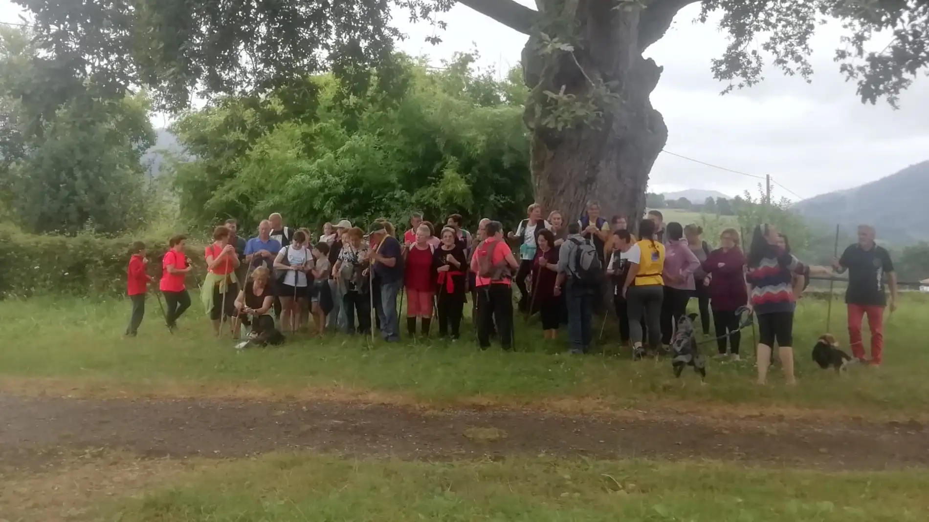 Reunión de los participantes bajo el Roblón de Coya