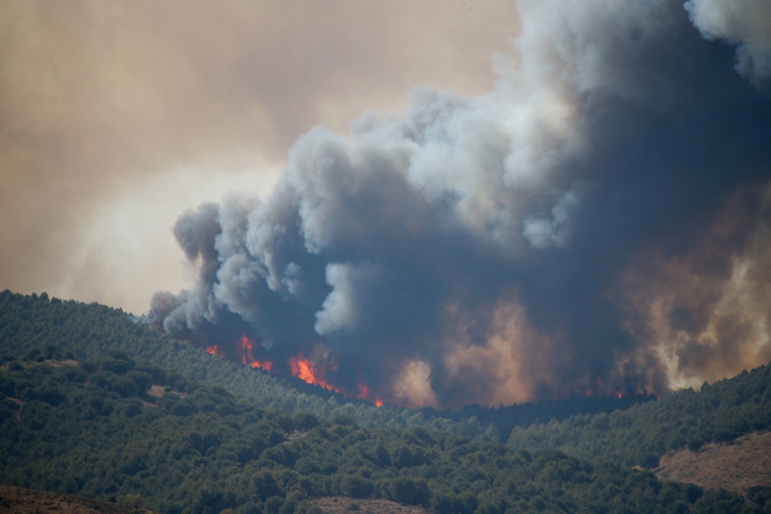 El oscuro negocio que ha destapado el incendio de Ateca El oscuro negocio que ha destapado el incendio de Ateca