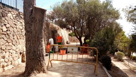 altea limpieza castell olla