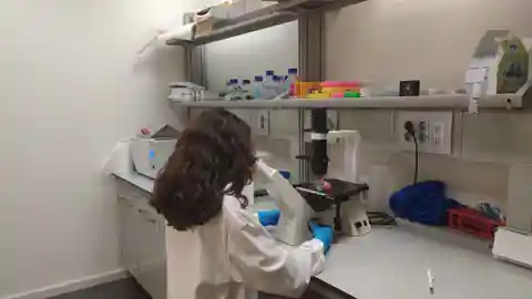 Investigadores de Prospera Biotech Investigadores de Prospera Biotech