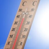 Las altas temperaturas provocan un incremento de las tasas de mortalidad