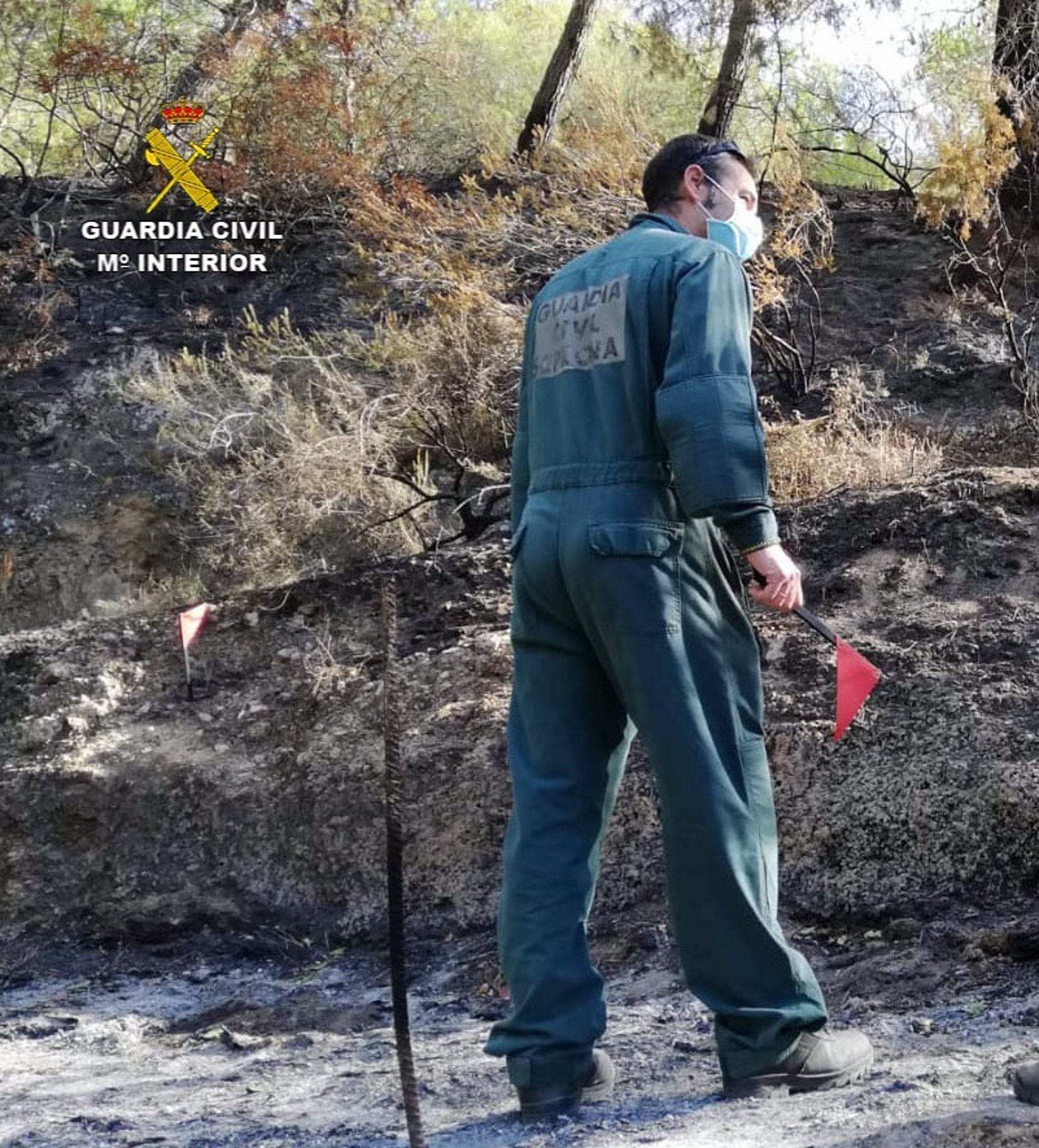 Investigan a un hombre por provocar un incendio forestal en Ciutadella Investigan a un hombre por provocar un incendio forestal en Ciutadella