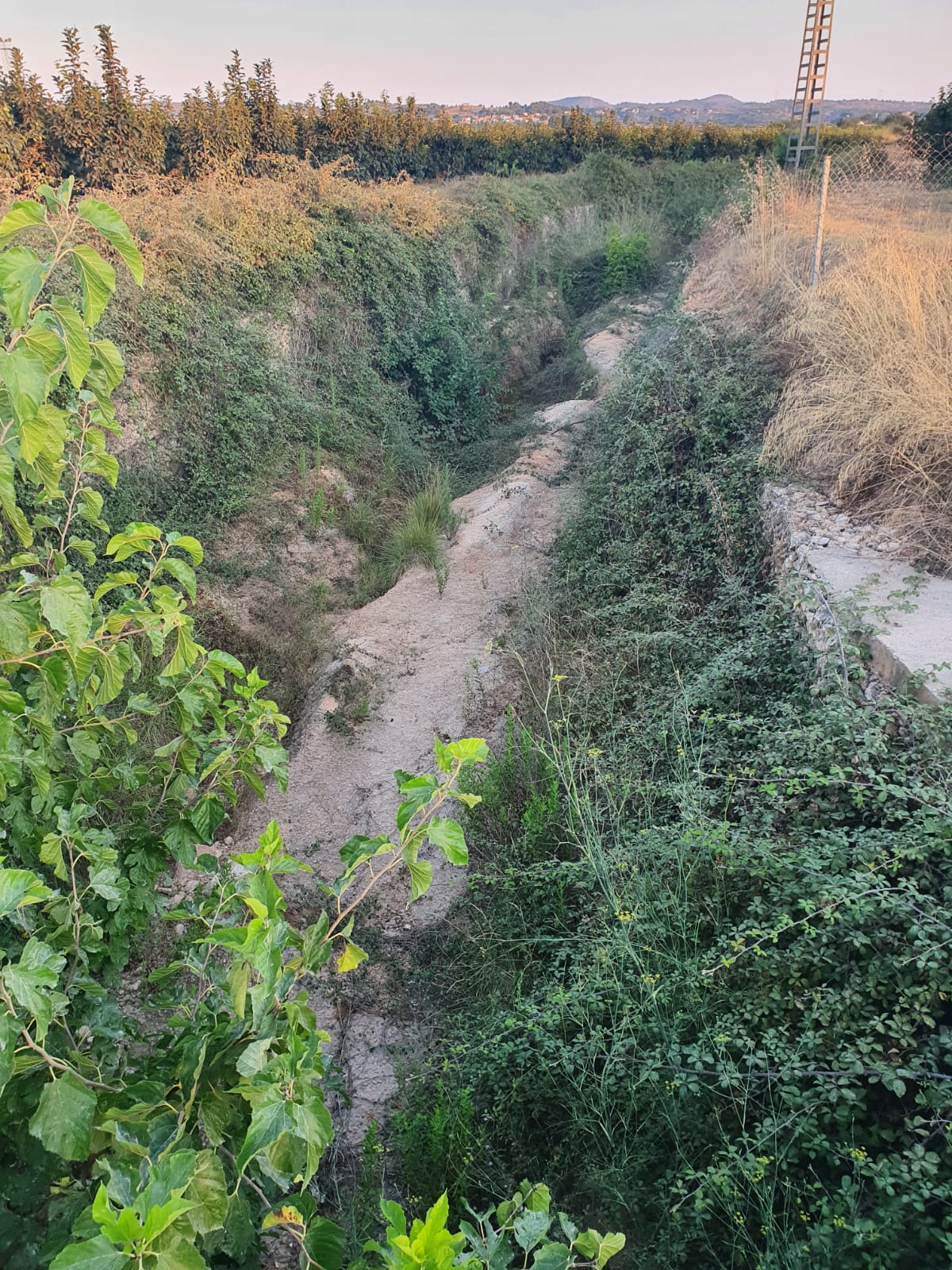 Compromis per Alginet se suma a la petición del gobierno local y exige a la CHJ la limpieza inmediata de los barrancos para evitar inundaciones Compromis per Alginet se suma a la petición del gobierno local y exige a la CHJ la limpieza inmediata de los barrancos para evitar inundaciones