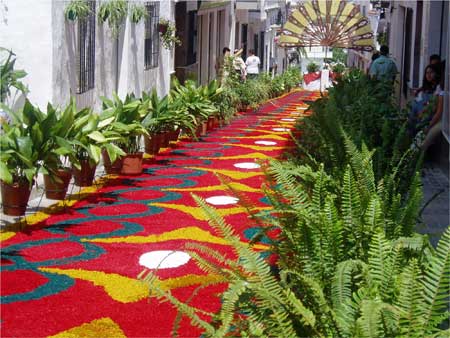 Alfombras para el camino de Santiago Alfombras para el camino de Santiago